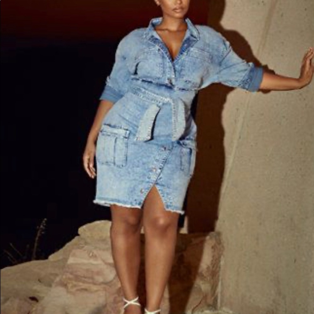 Fashion to Figure Dress